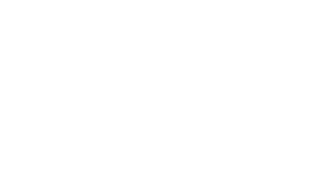De Groot Vroomshoop