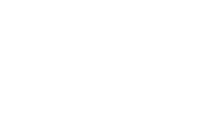 Dutch Interior Group